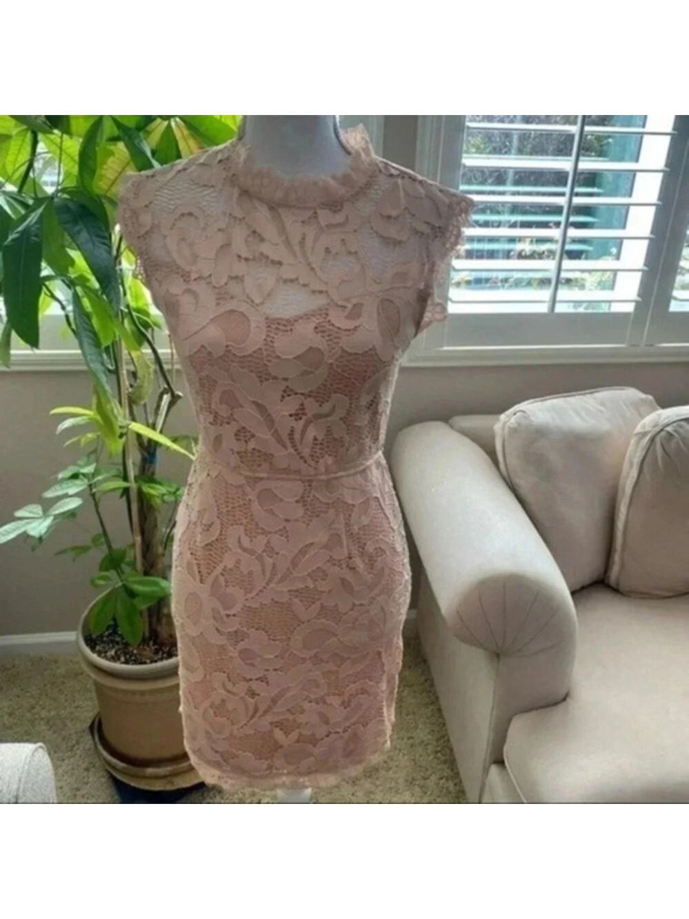 Sans Souci Lace Short sleeve beige Dress Coquette Girl Wedding Guest